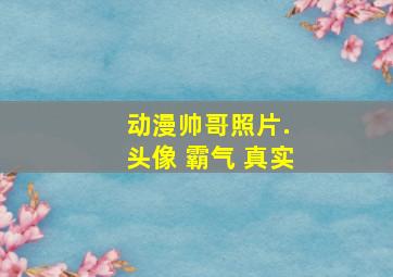 动漫帅哥照片. 头像 霸气 真实